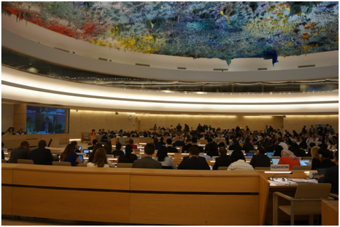 民间组织呼吁关注保障公众发展权