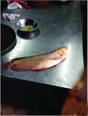 　　金龙鱼成盘中餐网络图片