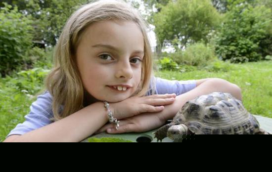 小乌龟走失1年被主人找回 仅爬出1.6公里(图)