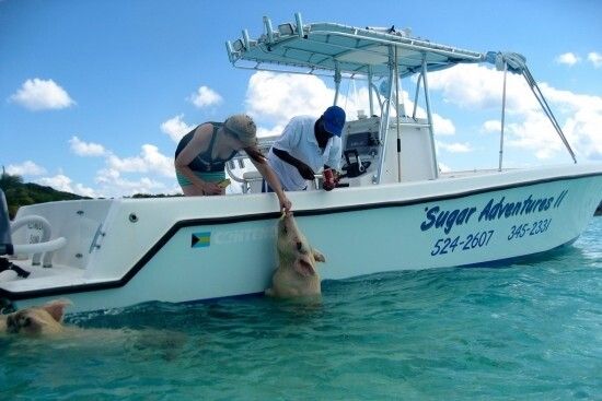 吸引大量游客前往