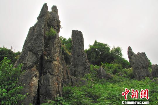 云南彝良现石林风光