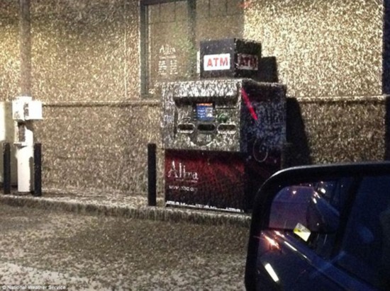 蜉蝣袭击下的美国小城