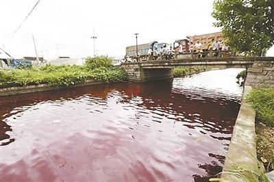 浙江苍南县惊现“血河” 疑有人倾倒污染物(图)