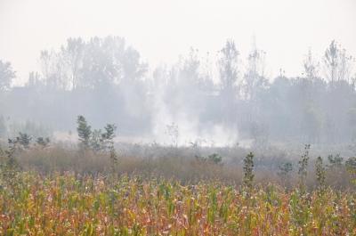 河南2/3城市中“霾伏” 国庆现7893个烧秸秆火点