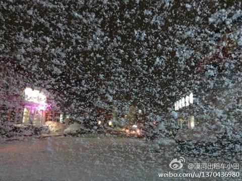 昨天，黑龙江漠河雪花飘落。（来源：微博）