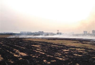 京津冀秸秆焚烧现象依旧 专家建议建立回收渠道